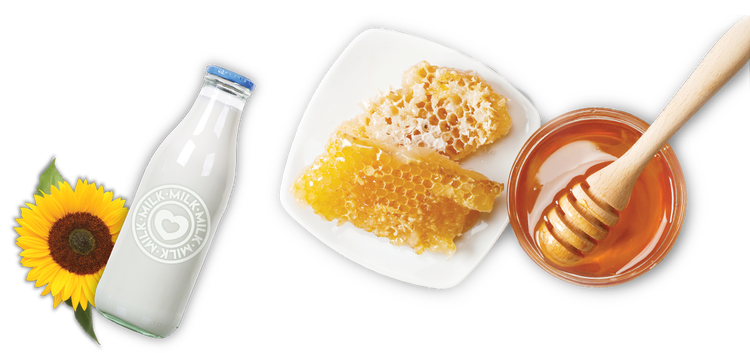 Lottabody Milk and Honey Collection